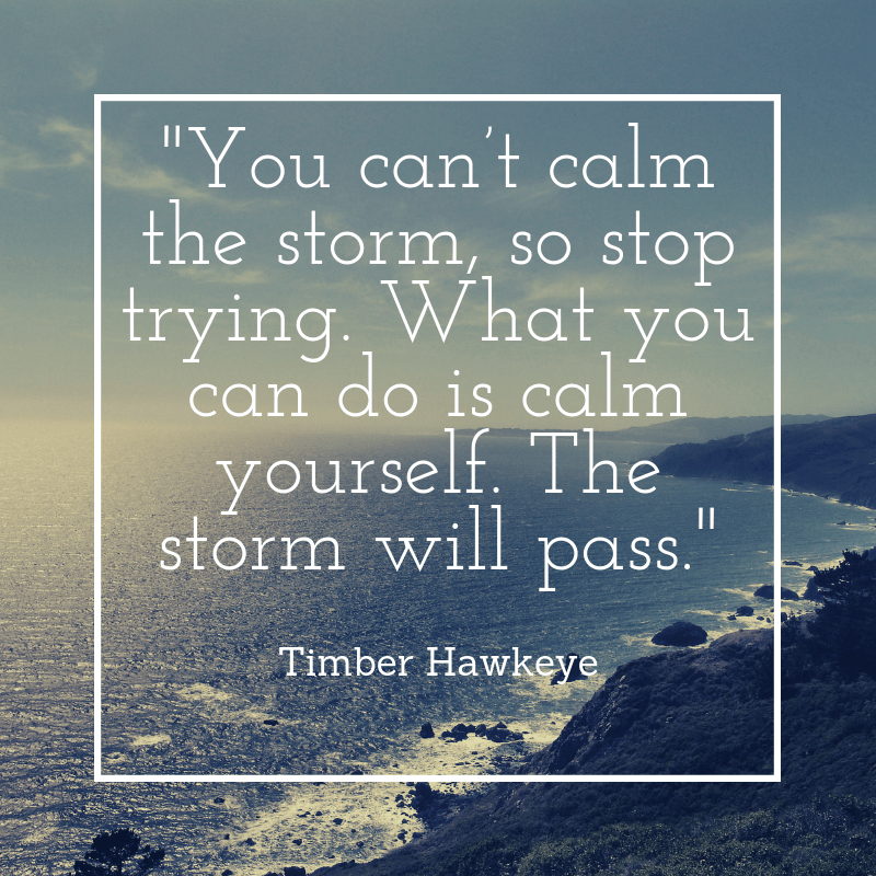 “You can’t calm the storm, so stop trying. What you can do is calm yourself. The storm will pass.” – Timber Hawkeye 