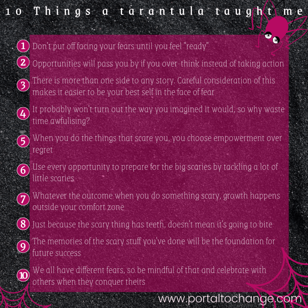 :Summary of the 10 things a tarantula taught me (points 1-10)