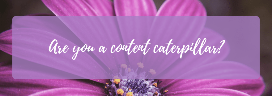 Are you a content&nbsp;caterpillar?