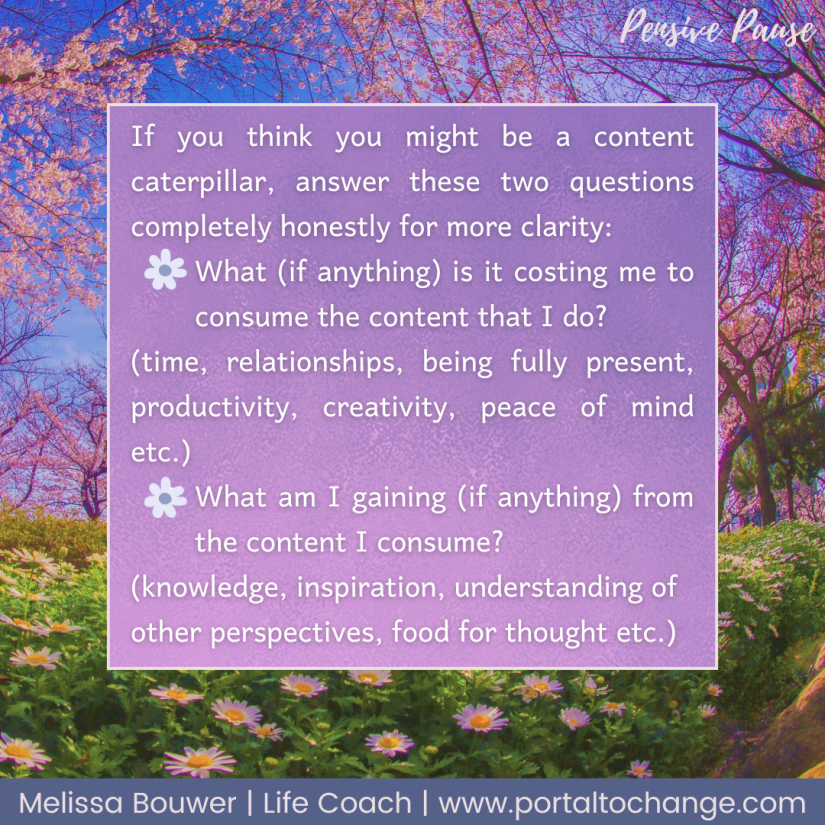 If you think you might be a content caterpillar, answer these two questions completely honestly for more clarity:
What (if anything) is it costing me to consume the content that I do?
(time, relationships, being fully present, productivity, creativity, peace of mind etc.)
What am I gaining (if anything) from the content I consume?
(knowledge, inspiration, understanding of other perspectives, food for thought etc.)